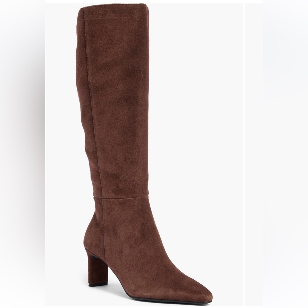 Dolce Vita Chocolate Suede Knee-High Boots